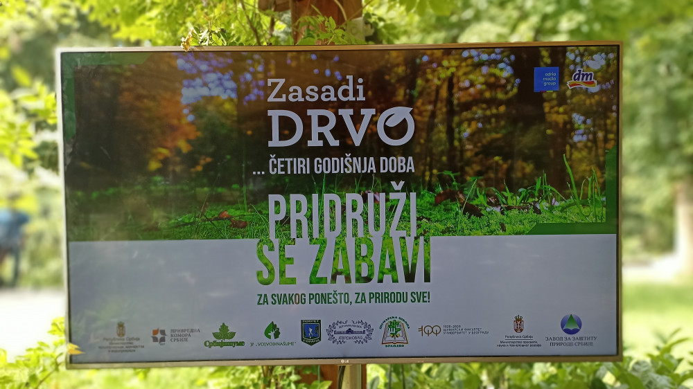 Počeo treći ciklus projekta Zasadi drvo